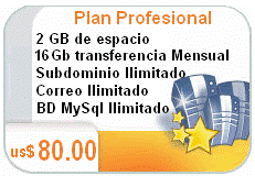 Plan Profesional